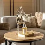 A&y Signature St Moritz Pontresina