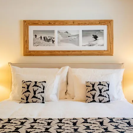 A&y Signature St Moritz Apartment Pontresina