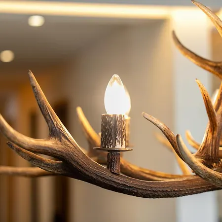 A&y Signature St Moritz * Pontresina