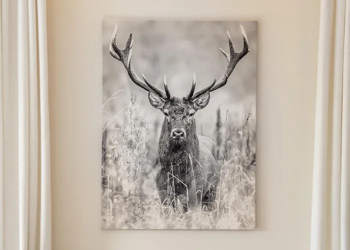 A&y Signature St Moritz Appartement *